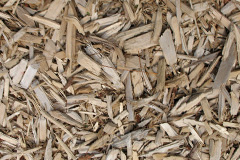 biomass boilers Osidge